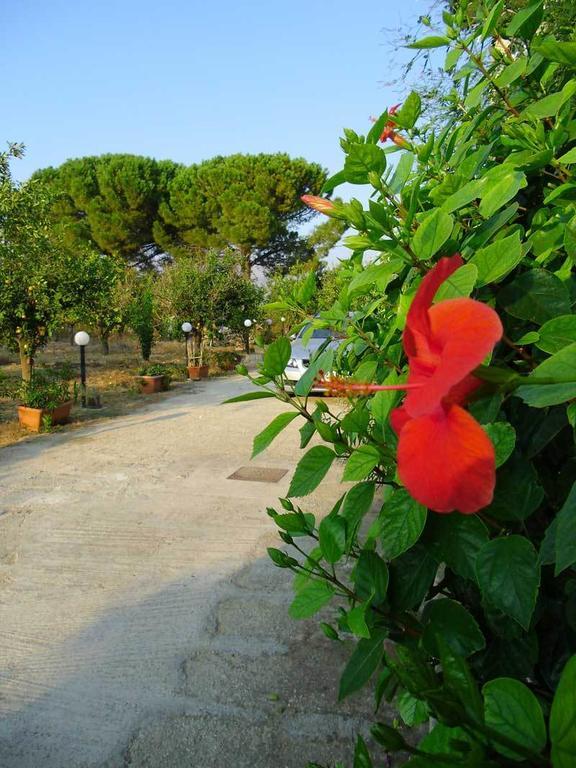 "Green" B&B Il Bracco Partinico Kültér fotó