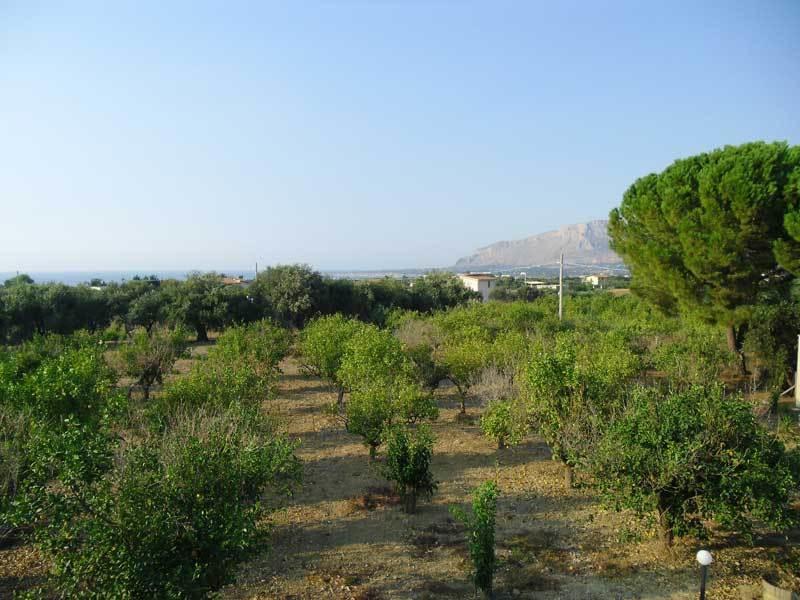 "Green" B&B Il Bracco Partinico Kültér fotó